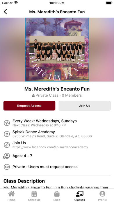 Spisak Dance Academy Screenshot