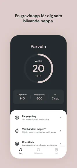 Game screenshot Pappapp - Gravidapp för pappor mod apk