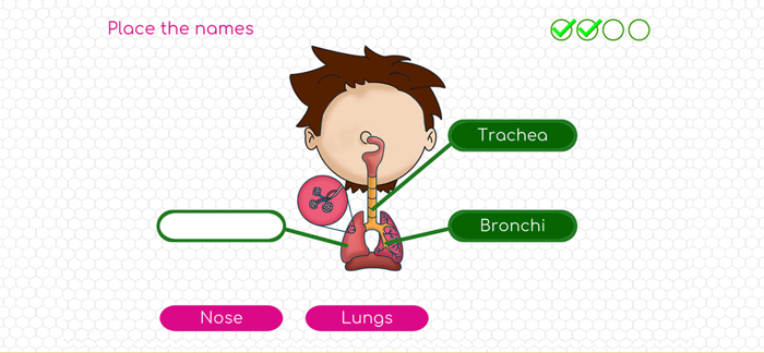 Human Body Adventure Game