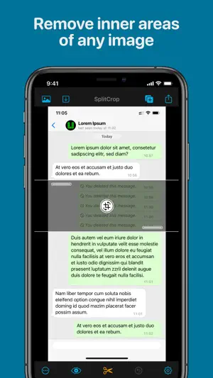 SplitCrop screenshot 1