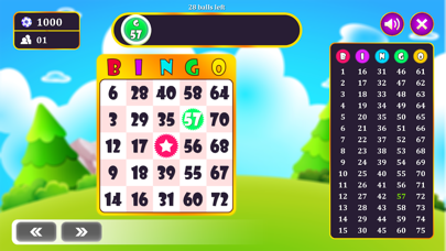 Bingo King - Bingo Master Screenshot