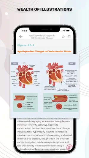 Stoelting Anesthetic Practice screenshot 4