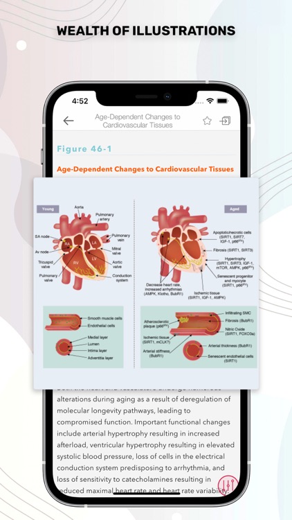 Stoelting Anesthetic Practice screenshot-3
