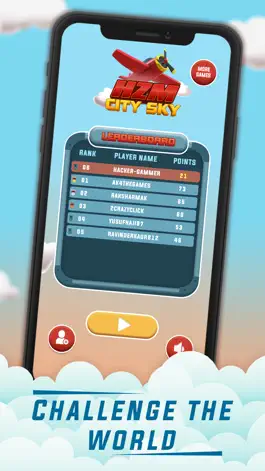Game screenshot HZM City Sky mod apk