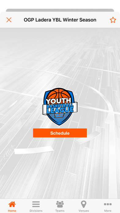 OGP Youth Basketball League Screenshot