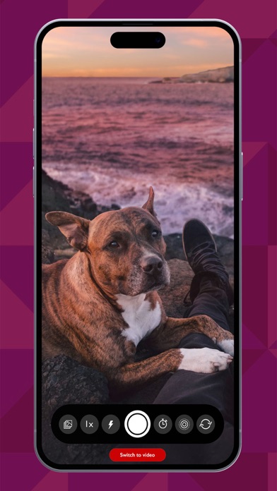PetCam - Perfect Pet Portraits Screenshot