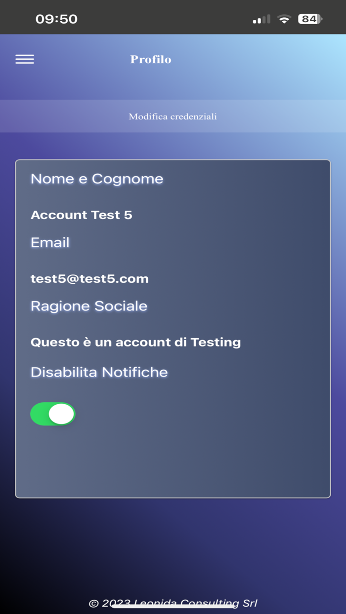 Network Consulenti Aziendali