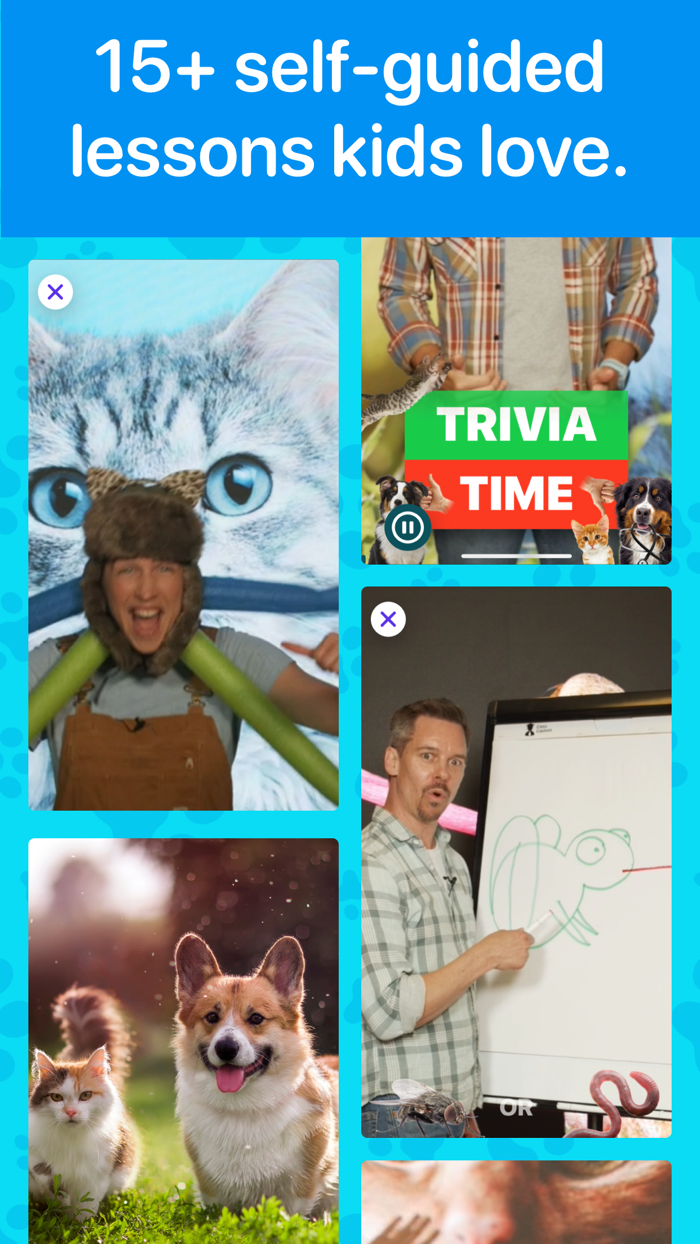 Veterinary and Pets for Kids