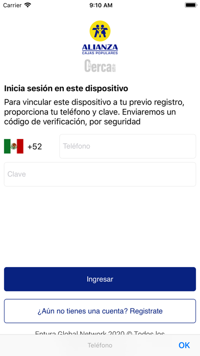 ALIANZA Token-Cerano Screenshot