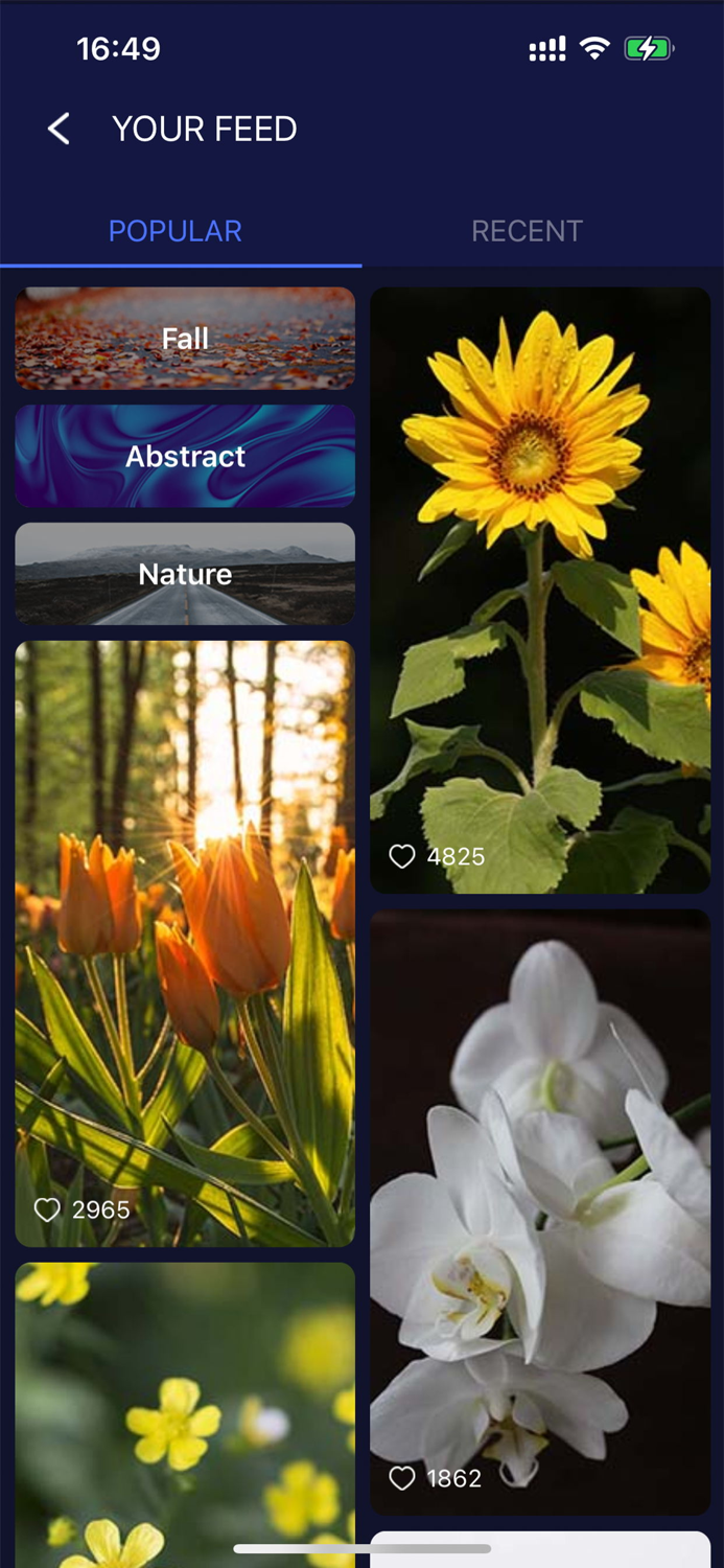 Phone Wallpaper HD