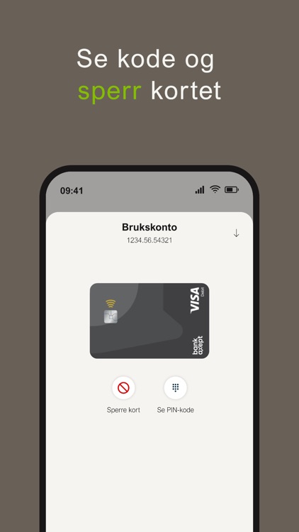 Aasen Mobilbank screenshot-5