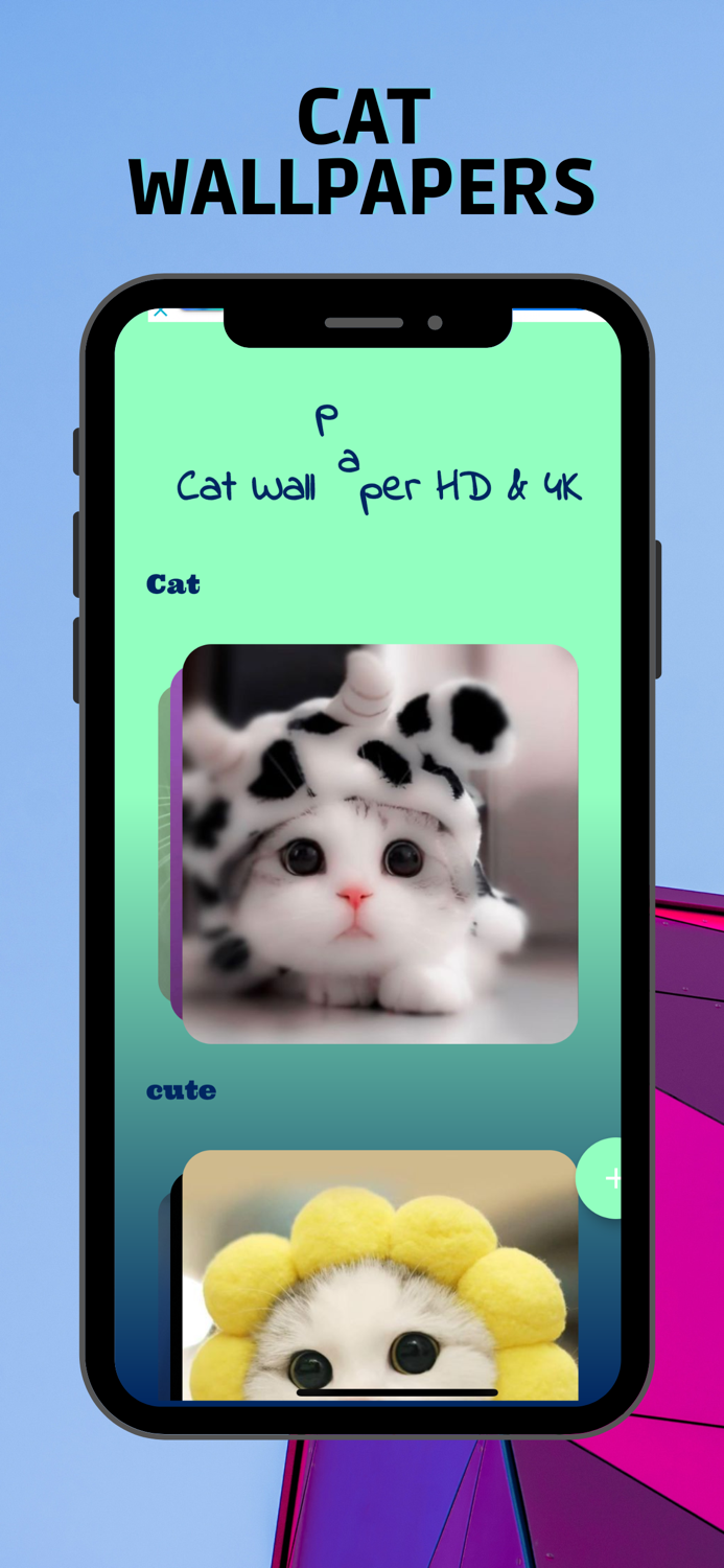 Cat Wallpaper HD and 4k