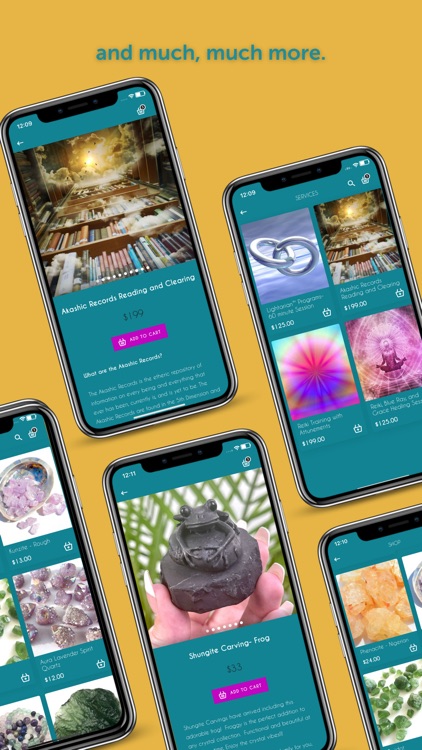 Elevated Wisdom screenshot-5