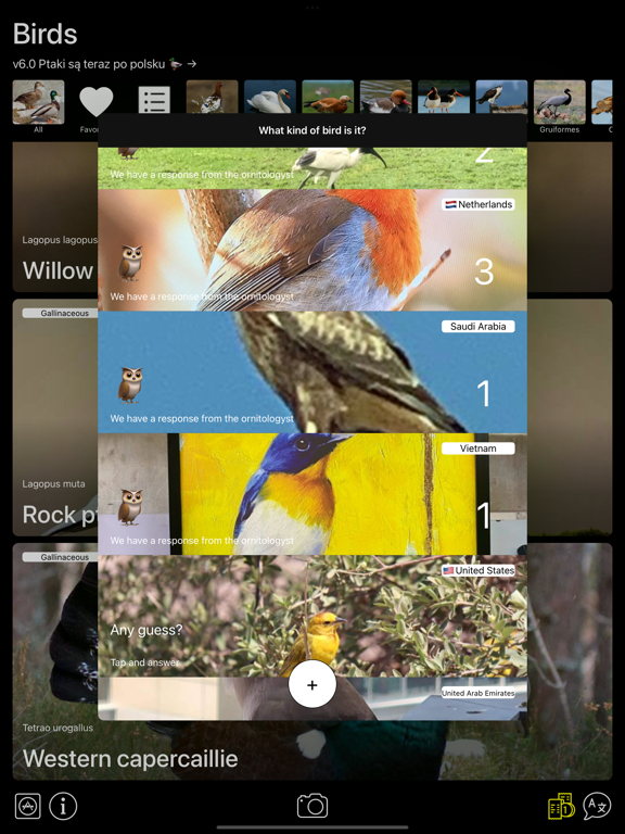 Screenshot #6 pour Appelants pour oiseaux