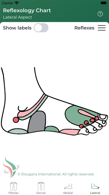 Reflexology Chart screenshot-8