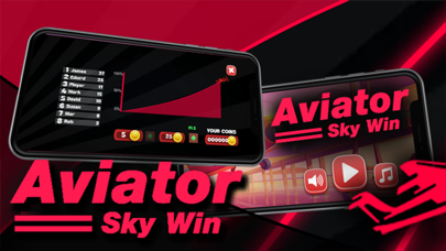 Aviator Sky Win Screenshot