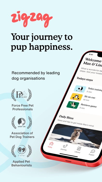 Zigzag Puppy Training App