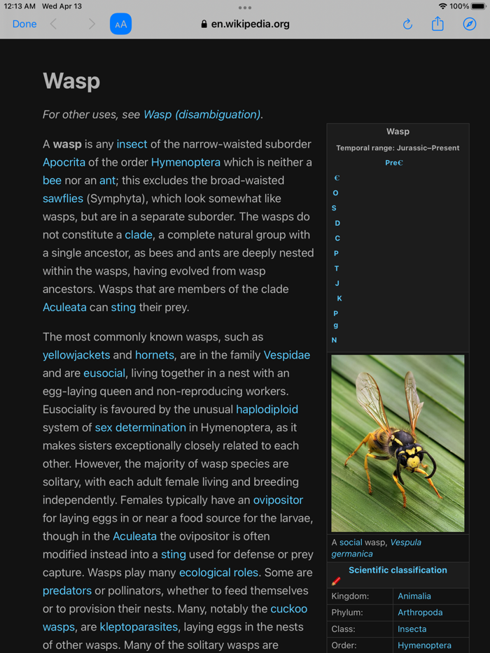 Insect Identifier Bug ID