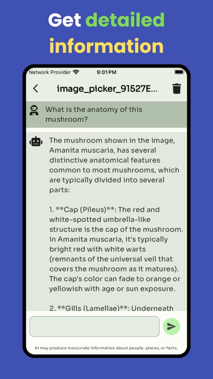 Mushroom identifier by picture