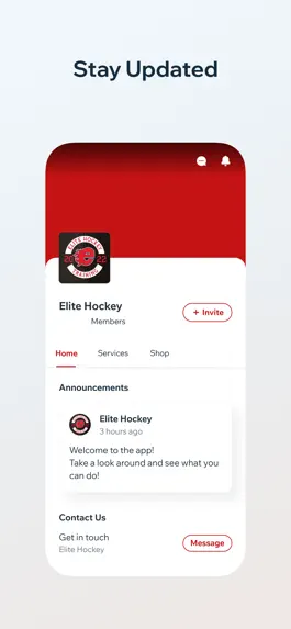 Game screenshot Elite Hockey hack