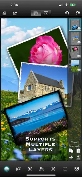 Game screenshot Leonardo - Photo Layer Editor mod apk