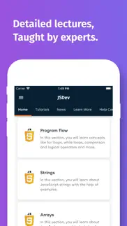 learn javascript programming iphone screenshot 3