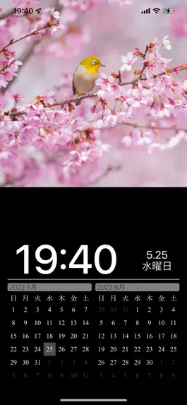 Game screenshot Japanese Nature Photo Clock apk