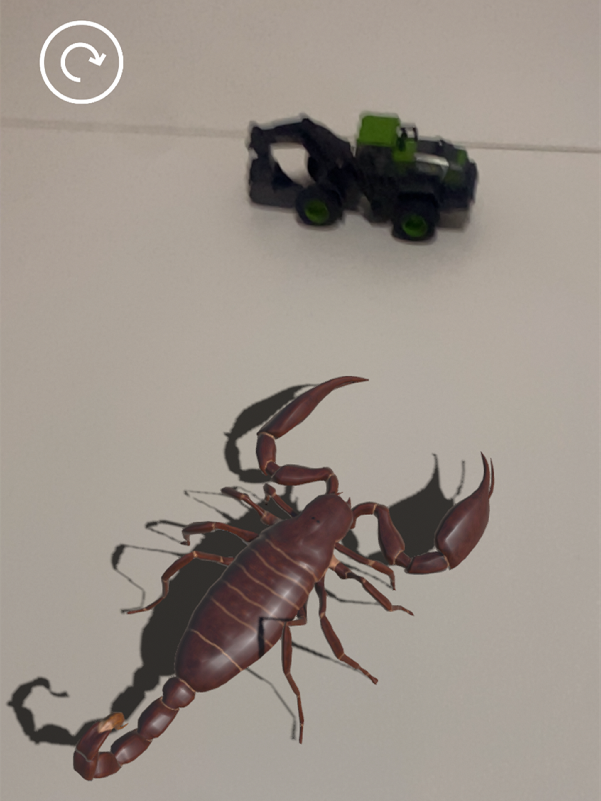 Insectes AR