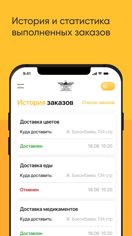 Курьер - Ковер Самолет