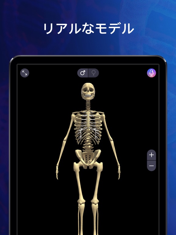 解剖学 アトラス：人体模型と骨格診断のおすすめ画像3