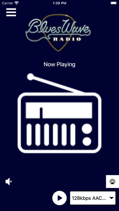 BluesWave Radio Screenshot