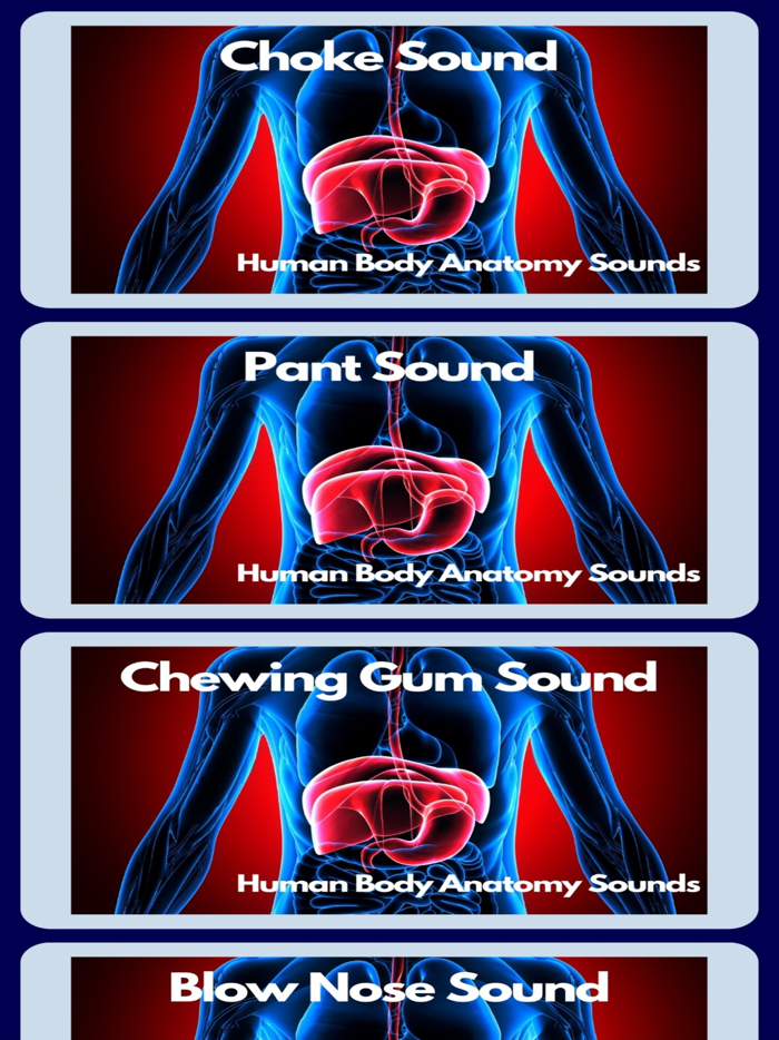 Human Body Anatomy Sounds