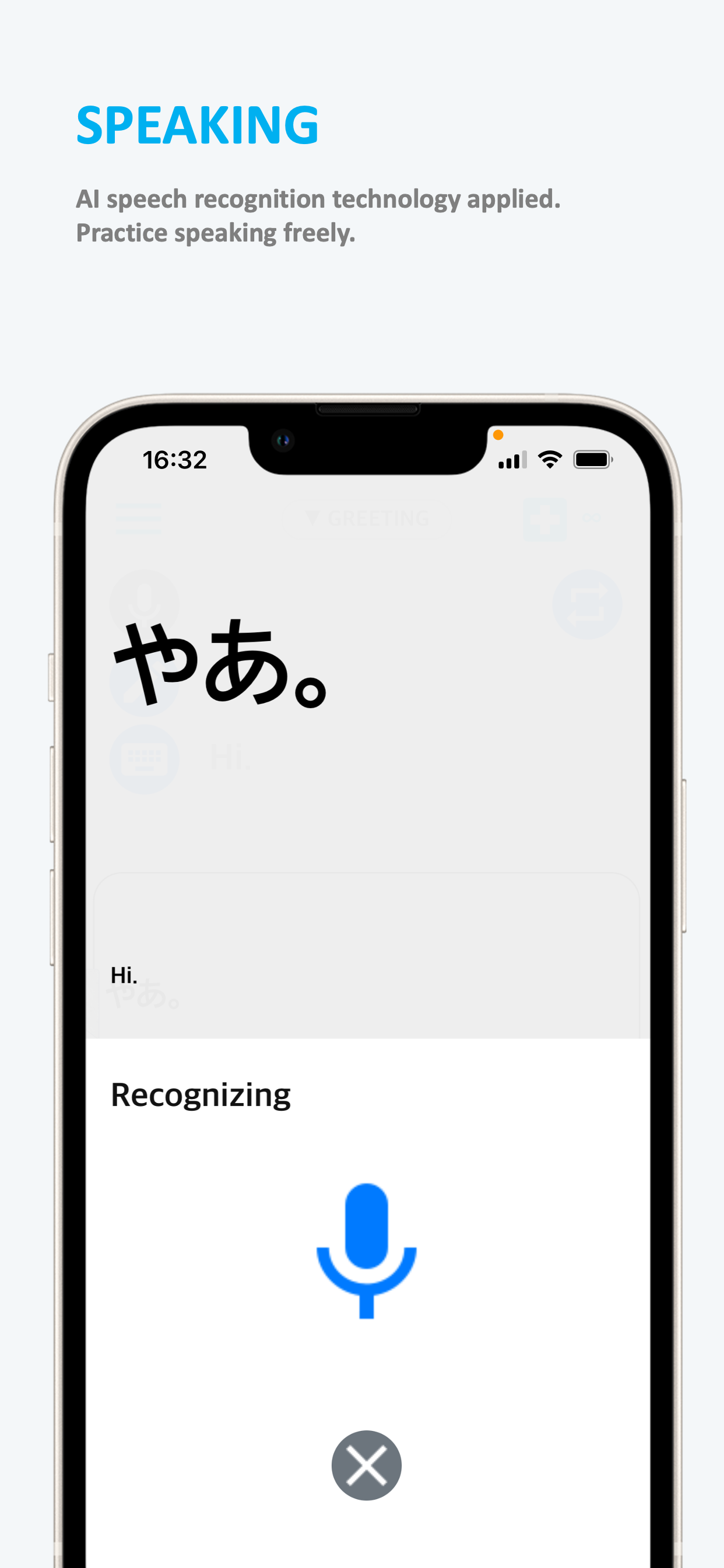 Emme Japanese