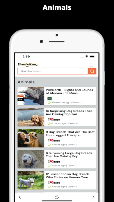 BuzzCo News Screenshot