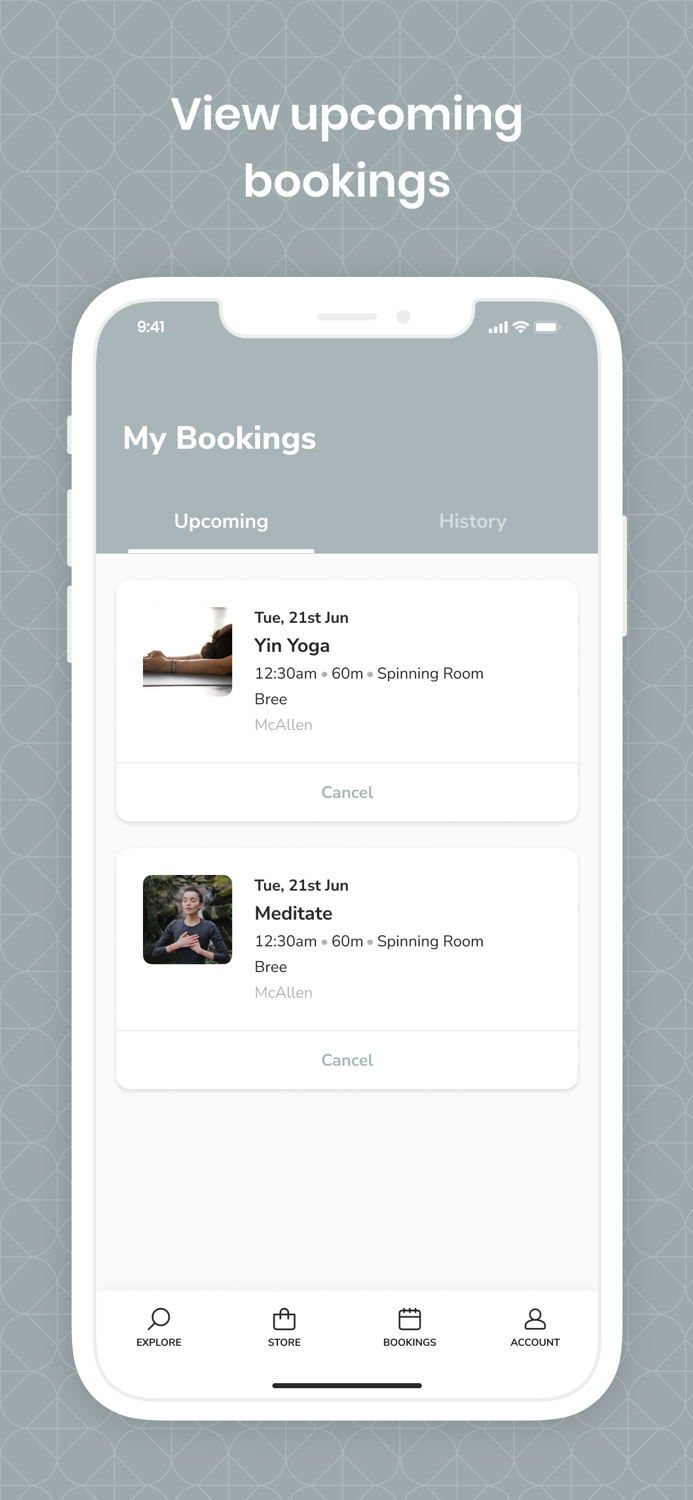 The Phoenix Project New