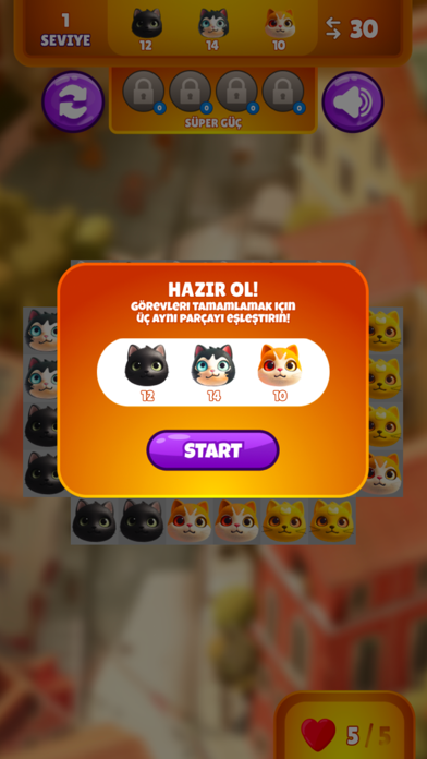 Kedistan Eğlence Oyunu Screenshot