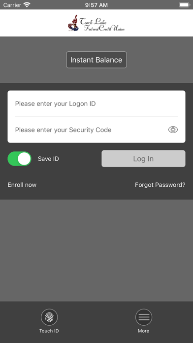 Torch Lake FCU Mobile Screenshot