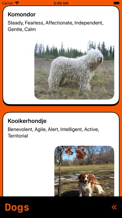 nMore Screenshot