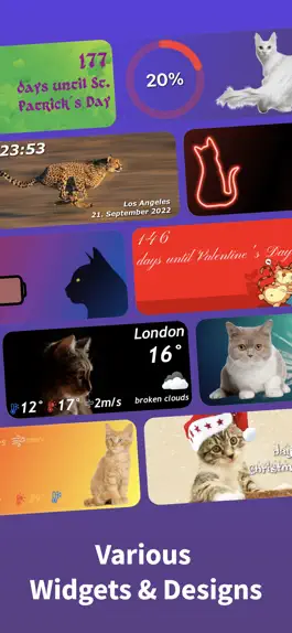 Game screenshot Cat Widget - World of Cats hack