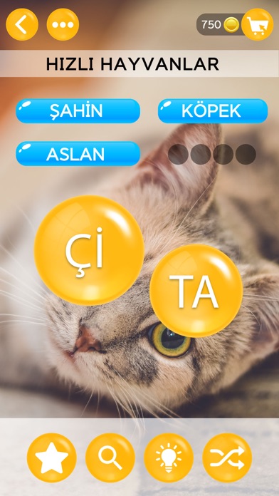 Kelime Şöleni: Kelime Oyunu Screenshot