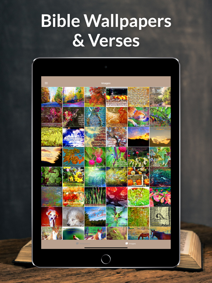 Systematic Biblical Theology