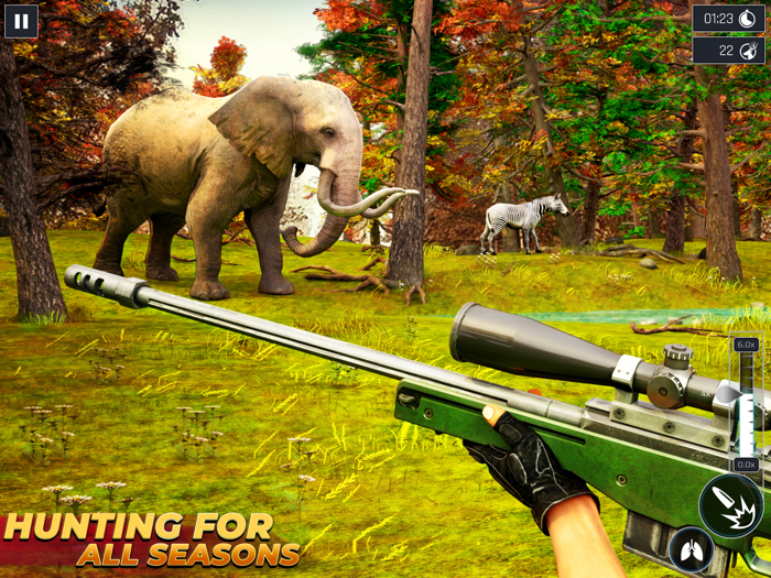 Animal Hunting Classic Games
