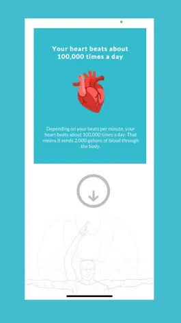 Game screenshot Human Anatomy AR apk