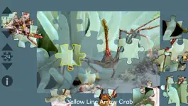 Game screenshot Aquatic School Edition mod apk