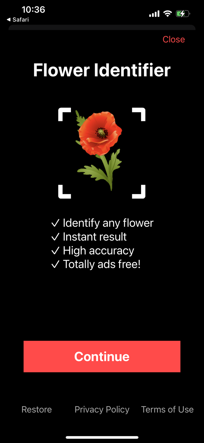 Identify Flower Plant by Photo