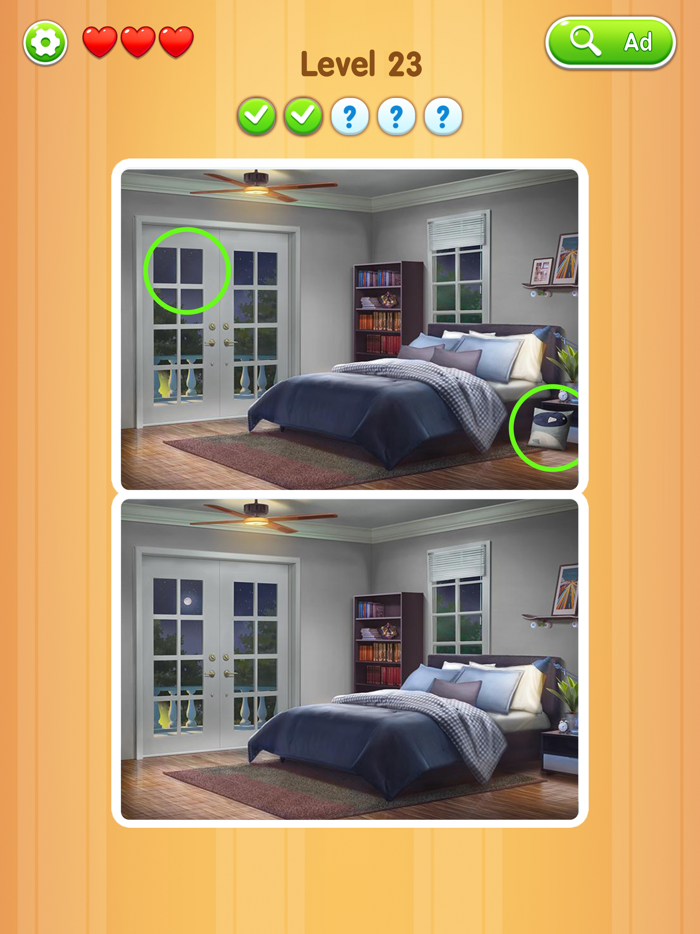 Detect It Picture Puzzle