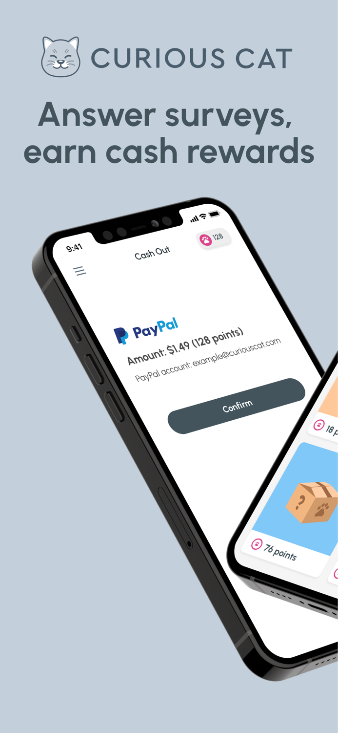 Curious Cat Paid Surveys