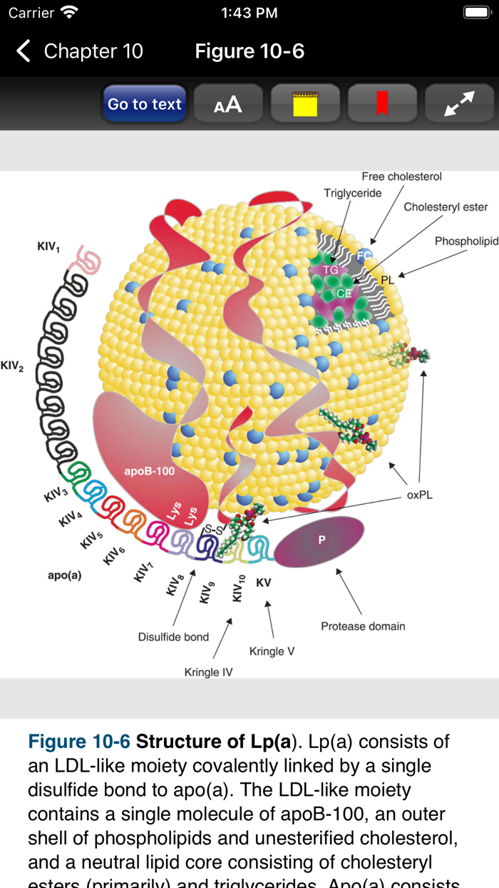 Fuster  Hursts The Heart 15E