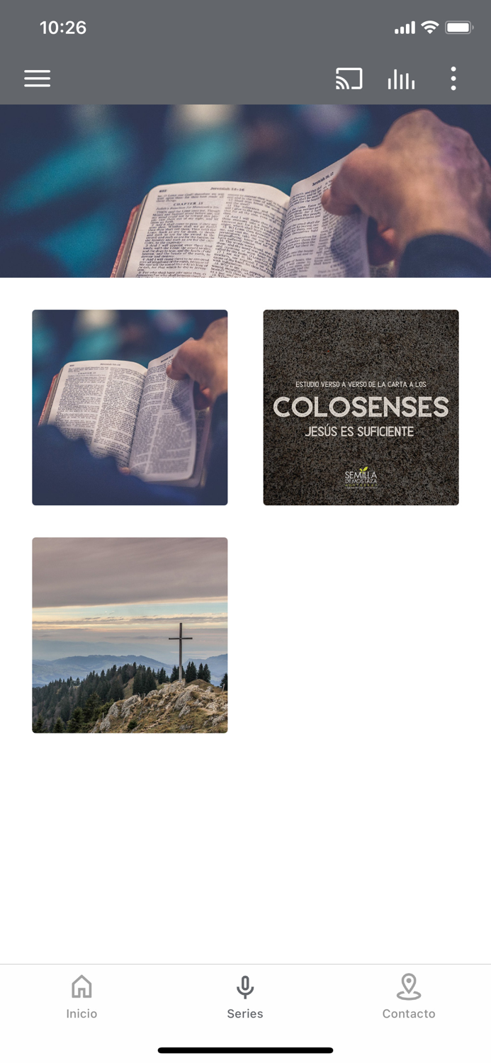 Semilla de Mostaza Monterrey