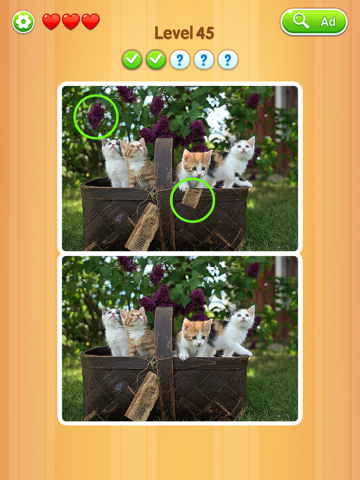 Detect It Picture Puzzle